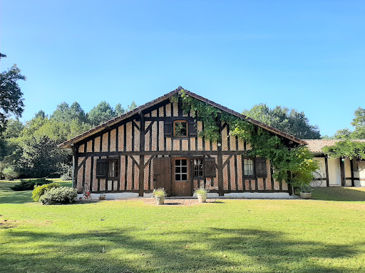 Delphine Duthu-Paloumet Agence Immobilière Herm Logo