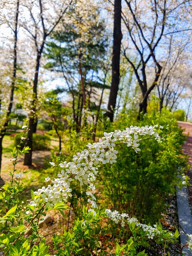 Namsan Botanical Garden
