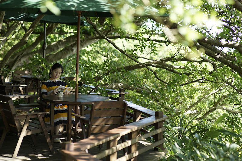 Yama-no-chaya Rakusui — photo
