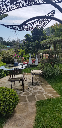 Daní Maison - Visual