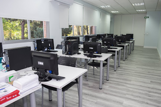 FIVE Formación Internacional Vocacional y Emprendimiento