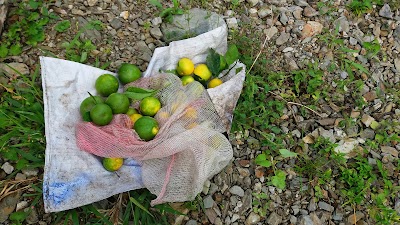 Photos of Desayunadero Narandulce