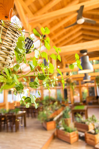 Garden Village Bled by null