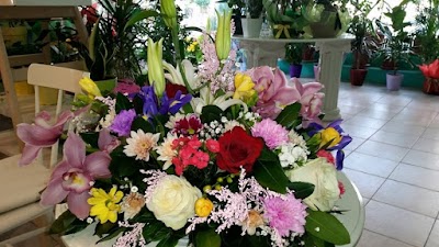 Photos of Fiori e Tulli &Alpha;&nu;&theta;&omicron;&pi;&omega;&lambda;&epsilon;ί&omicron; &Theta;&epsilon;&sigma;&sigma;&alpha;&lambda;&omicron;&nu;ί&kappa;&eta;