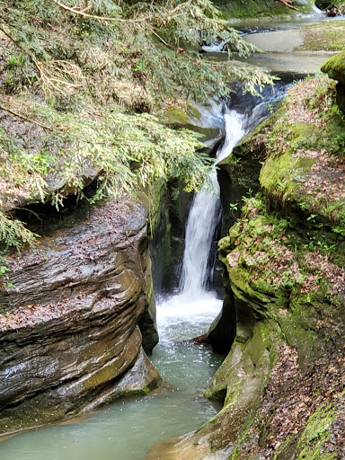Robinson Falls - Visual