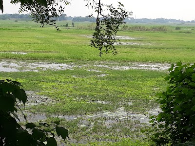 Photos of গোয়ালখালি সার্বজনীন দুর্গা মন্দির