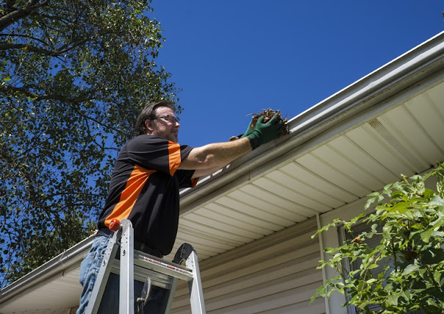 Gallery of Star Brite Window Washing in  - Top-rated Pressure Washing Service nearby.