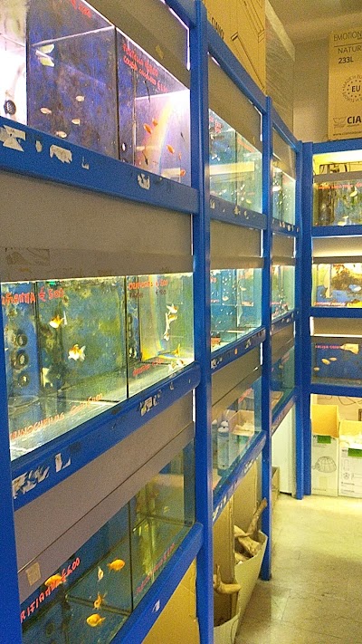 Birillo Pet Shop