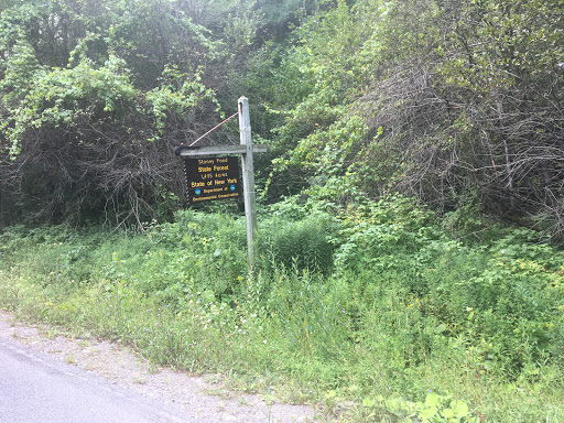 Stoney Pond Campground Gallery - United States