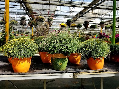 Dutch & Olgas Greenhouse