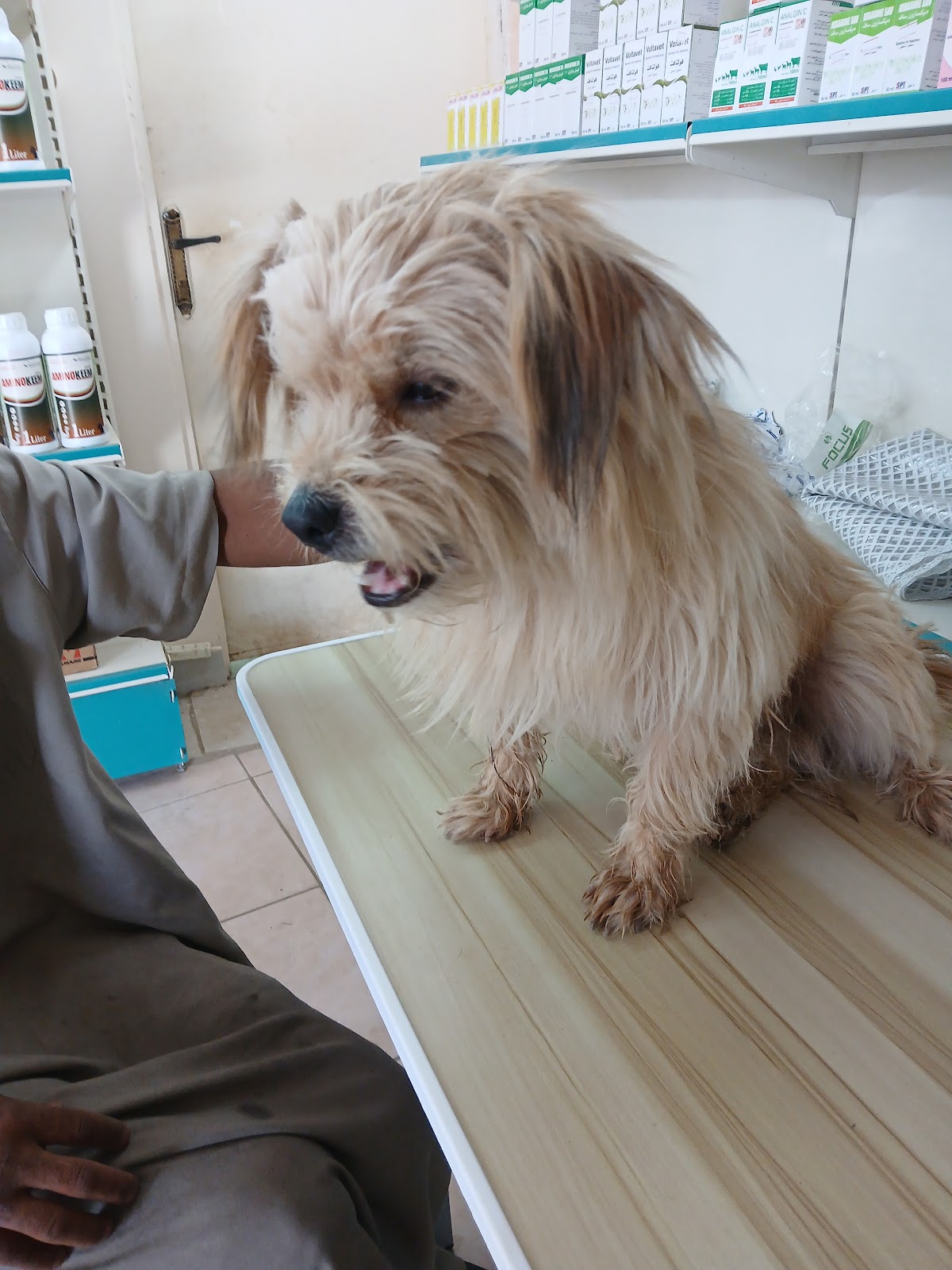 عيادة أنعام الزلفى البيطرية - صورة 4