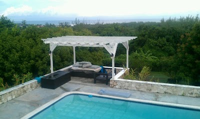 Photos of The Bird's Nest Jamaica