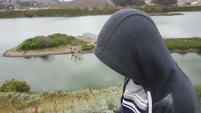 Photos of Estuario De Cartagena