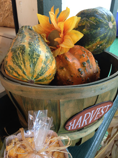 The Pumpkin Patch - Visual