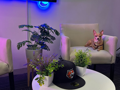 Central de Medios México