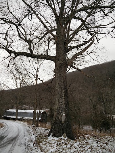 Photos of EJ's Cottages Camping and Stabling