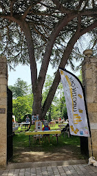 Photo n°2 de Ludo Club Ludothèque à Condom (Association culturelle)