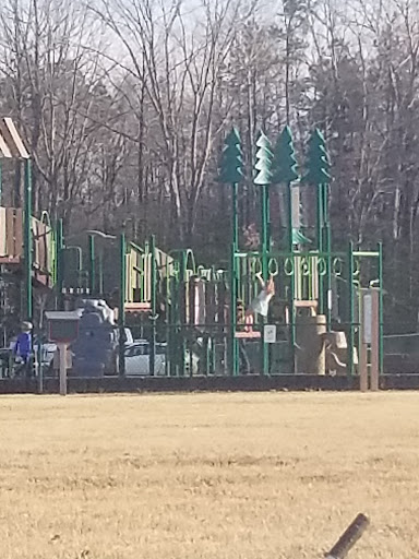 Pine Fork Park - Visual