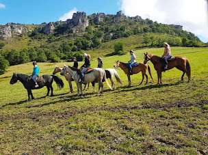 Photo n°1 de Sl Western à Gaudiès (Club d'équitation)