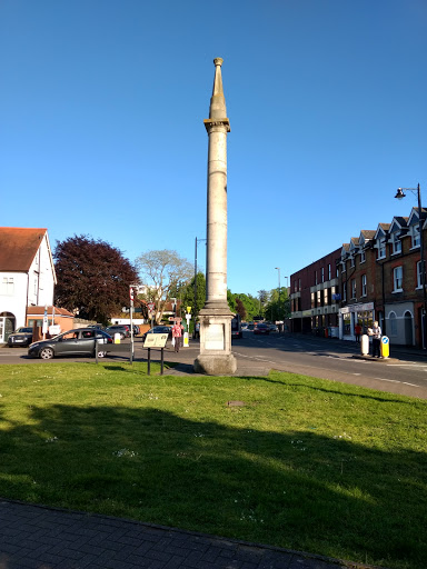 The York Column Logo