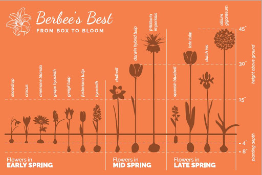 Berbee's Best - Visual