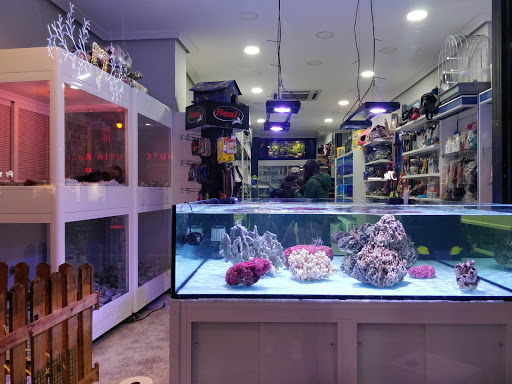 Acuario Amazonas - Visual