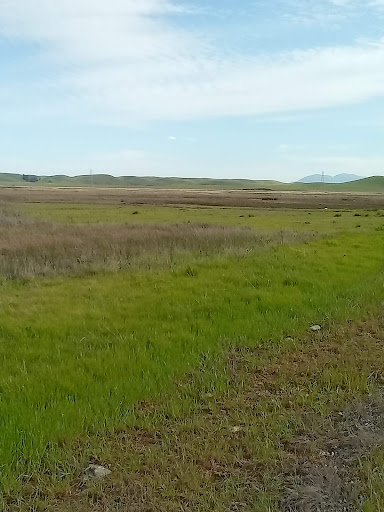 Hill Sough Wildlife Area