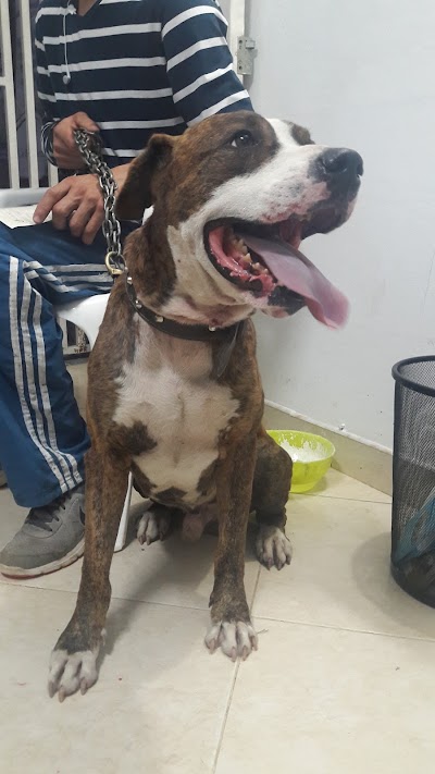 Photos of Consultorio Veterinario Garritas y Huellitas