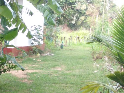 Photos of Aura Kavi Resort