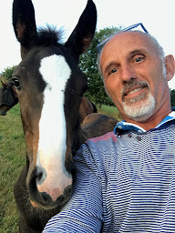 Photo n°1 de Villa Maria Communication à Linards (Agence de publicité)