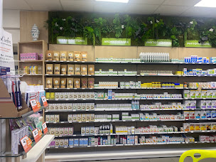 Photo n°2 de PHARMACIE TERRAL à Mont-de-Marsan (Parapharmacie)