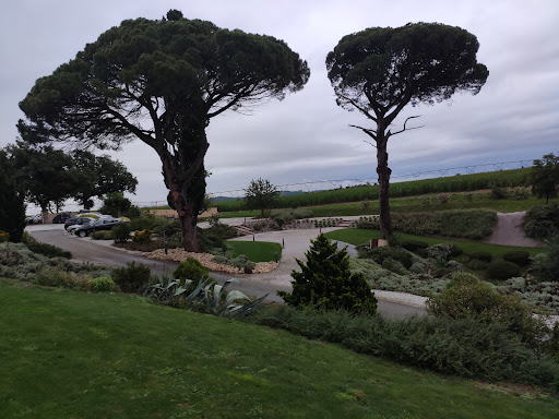 Domaine du Pigné - Thumbnail
