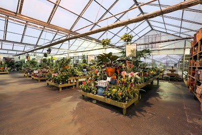 Pike Nurseries