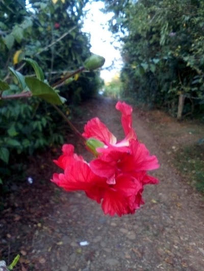 Photos of Centro Tur&iacute;stico Rincon Ecol&oacute;gico