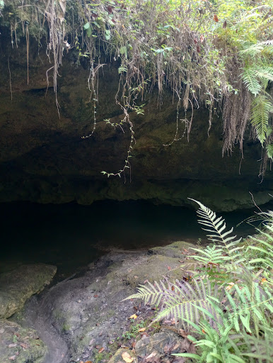 Apalachicola Wildlife Management Area - Thumbnail