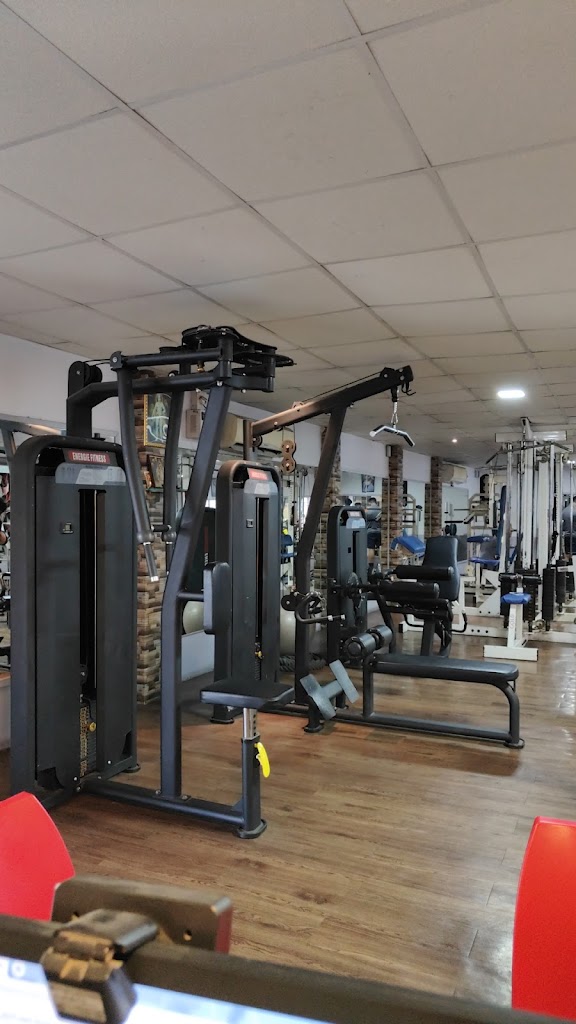 Wave Fitness Unisex Gym