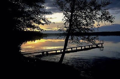 Photos of Dillman's Bay Resort
