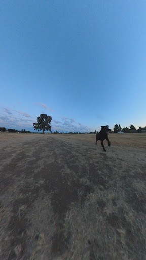 Bohlander Park - Visual