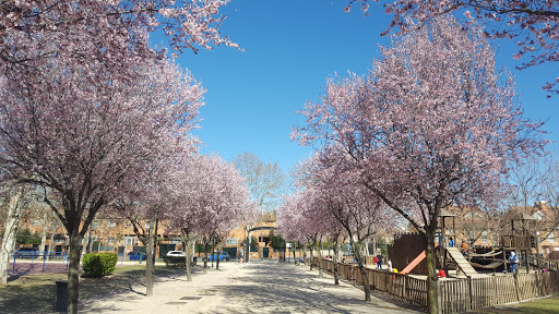 Los Fresnos Park - Thumbnail