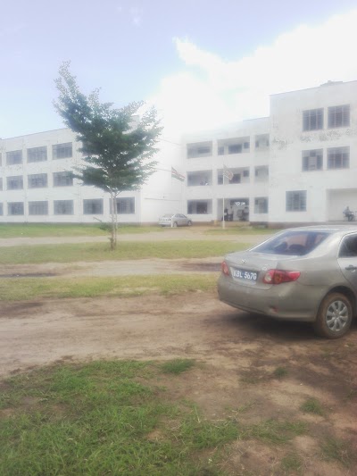 school