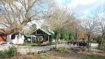 park
