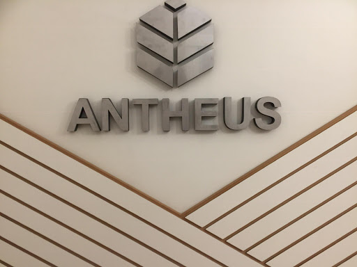 Antheus - Visual