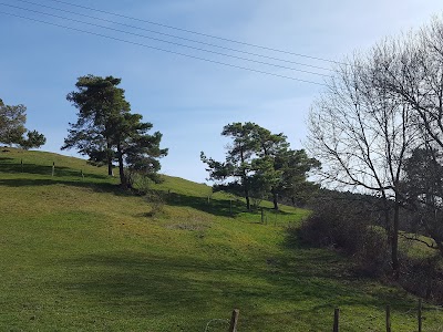 Photos of Dreim&uuml;hlenhof
