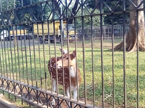 Taman Rusa Kemang Pratama, Author: Bambang Wibowo