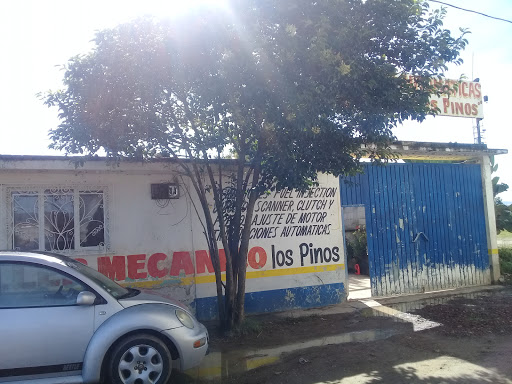 Taller Los Pinos