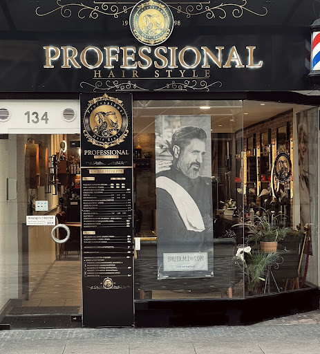 PROFESSIONAL - HAIR STYLE