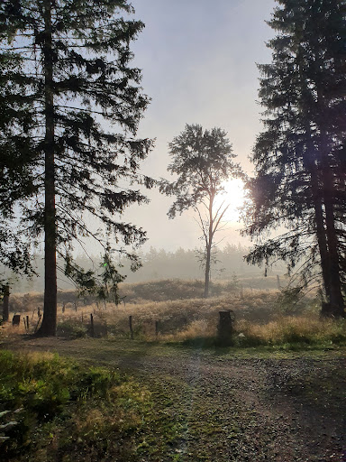 Åseda Hembygdsförening - Thumbnail