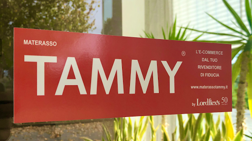 TAMMY - Visual