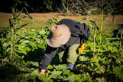 Photos of Mission San Luis
