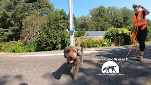 Photo n°5 de Mantrailing Semper Fi à Millançay (Dresseur pour chiens)